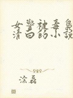 女警被毒枭毁掉清白的小说