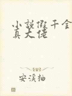 小说假千金才是真大佬