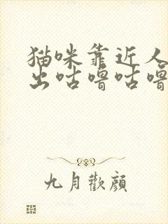 猫咪靠近人就发出咕噜咕噜的声音