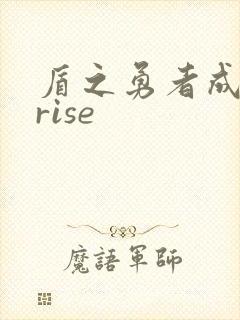 盾之勇者成名录rise封面