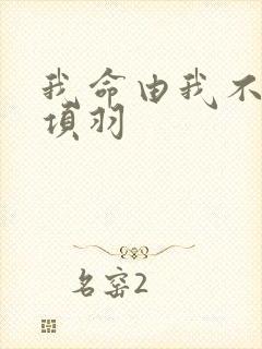 我命由我不由天项羽封面