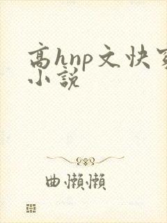 高hnp文快穿小说