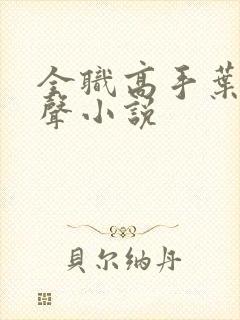 全职高手叶修有声小说