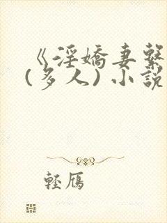 《淫娇妻系列》(多人) 小说