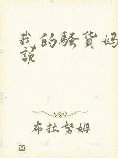 我的骚货妈妈小说封面