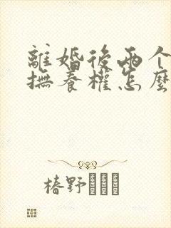 离婚后两个孩子抚养权怎么判定