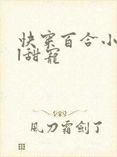 快穿百合小说gl甜宠