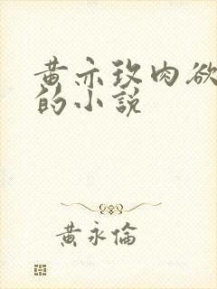 黄亦玫肉欲被c的小说封面