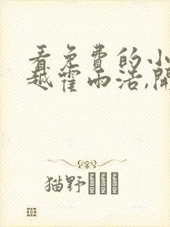 看免费的小说穿越霍雨浩,开局拜师药老封面