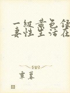 一级黄色录像夫妻性生活在线观看