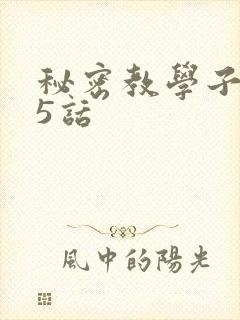 秘密教学子豪85话
