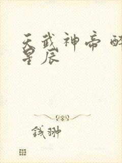 天武神帝 醉梦星辰