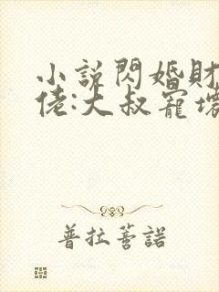 小说闪婚财阀大佬:大叔宠坏小娇妻全文