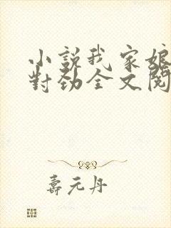 小说我家娘子不对劲全文阅读免费