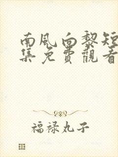 南风向黎短剧全集免费观看封面