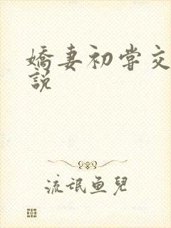 娇妻初尝交换小说封面