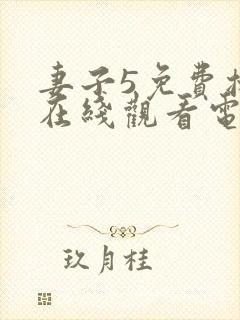 妻子5免费播放在线观看电视剧韩剧封面