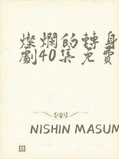 灿烂的转身电视剧40集免费观看全集