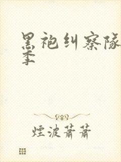 黑袍纠察队有几季封面