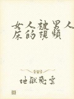 女人被男人搞上床的视频