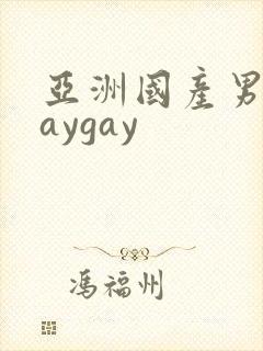 亚洲国产男同gaygay