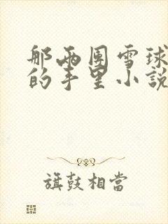 那两团雪球在他的手里小说