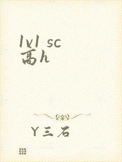 1v1 sc 高h