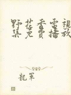 野花香电视剧全集免费播放高清