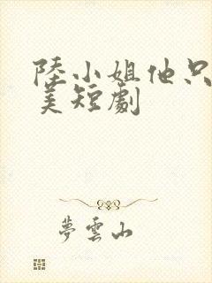陆小姐他只想独美短剧封面