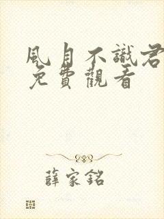 风月不识君全集免费观看