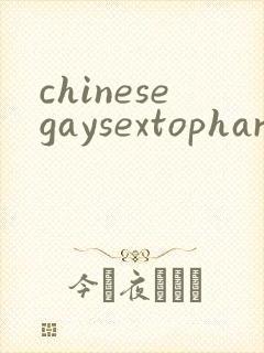 chinesegaysextophard