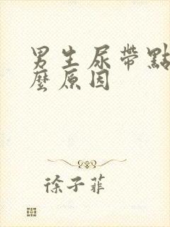 男生尿带点血什么原因封面