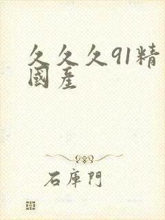 久久久91精品国产