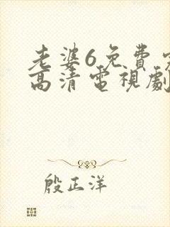 老婆6免费完整高清电视剧