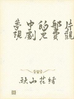 梦中的那片海电视剧免费观看