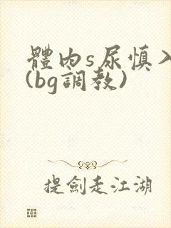 体内s尿慎入h(bg调教)