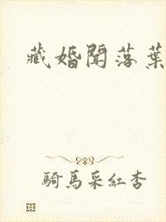 藏婚闻落叶小说