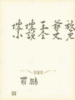 坏坏王爷放肆爱小说全文免费阅读封面