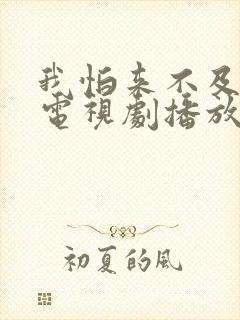 我怕来不及全集电视剧播放