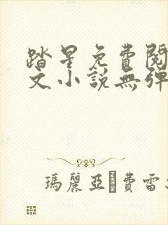 踏星免费阅读全文小说无弹窗