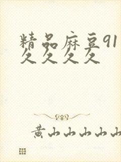 精品麻豆91久久久久久