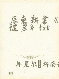 辰东新书《深空彼岸》txt封面