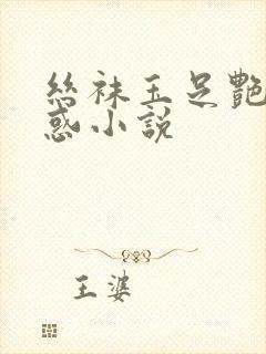 丝袜玉足艳母诱惑小说