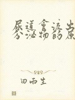 尿道会流出白色分泌物的原因