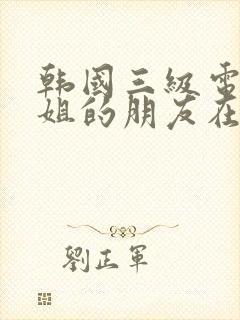 韩国三级电影姐姐的朋友在线观看封面