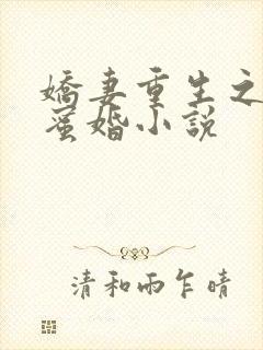 娇妻重生之甜宠蜜婚小说封面