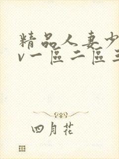 精品人妻少妇av一区二区三区