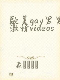 欧美gay男男激情videos