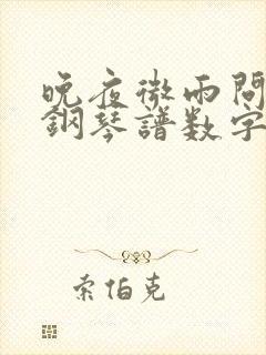 晚夜微雨问海棠钢琴谱数字版