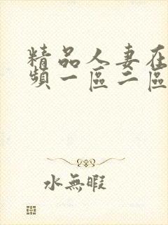 精品人妻在线视频一区二区